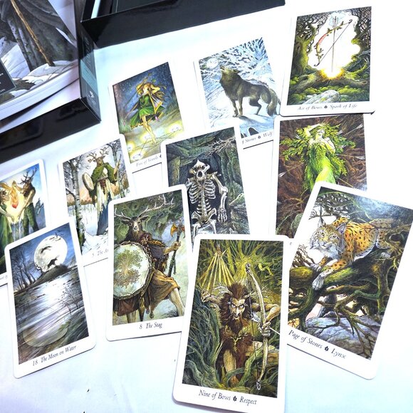 The Wild Wood Tarot - Picture 3 of 4